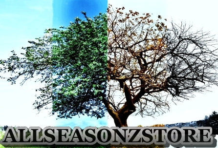 AllSeasonzstore